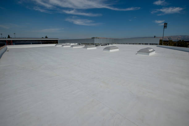 Best Solar Panel Roofing Installation  in Chualar, CA